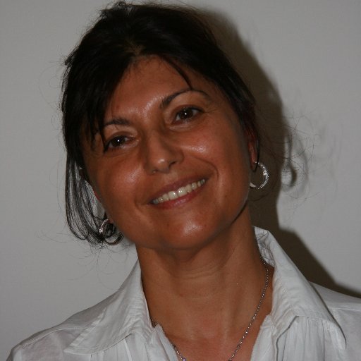 M-N. Touzain
